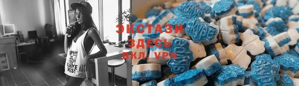 мдпв Инсар