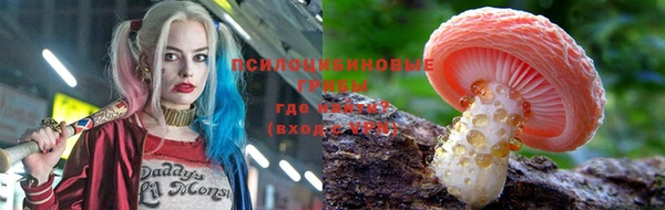 кокс Карпинск