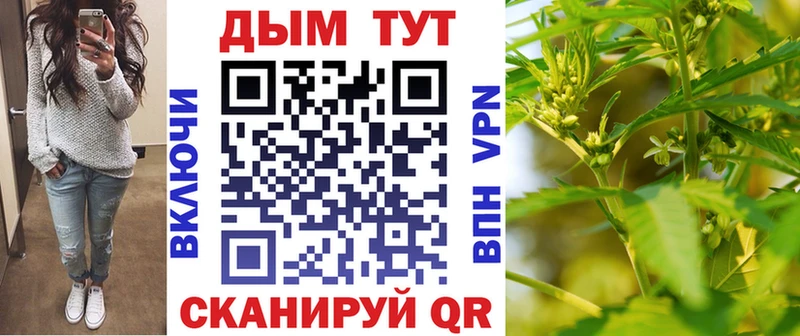 Шишки марихуана THC 21%  мега   Кызыл  где купить  
